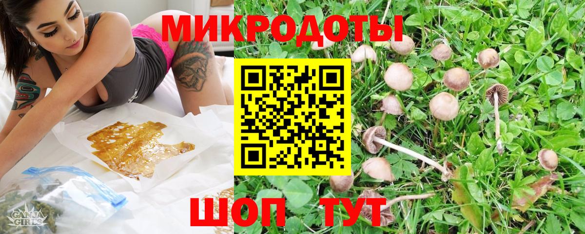 Галлюциногенные грибы GOLDEN TEACHER  Вход с VPN  Галлюциногенные грибы мицелий  Россошь 
